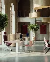 AMB_BUR_ASS_STAR_VOLT_MYFRILL_MADERA_HARMONY_CAD_44_2025.webp