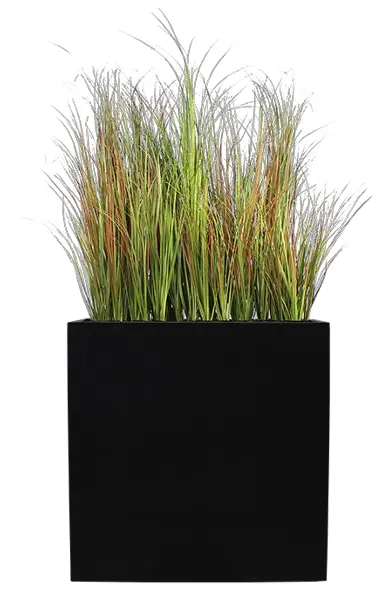 Séparateur L. Graminées Scandinave 150 cm - Bac Noir.webp