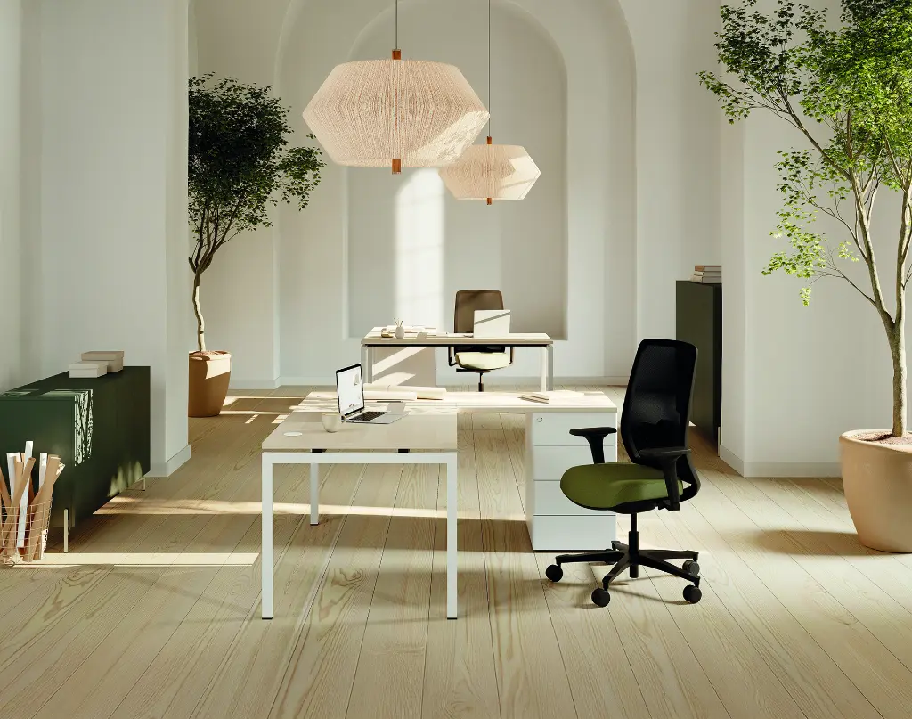 AMB_BUR_FAU_RAN_CINETIC_MUNIK_LINEA_HARMONY_CAD_165_2025.webp