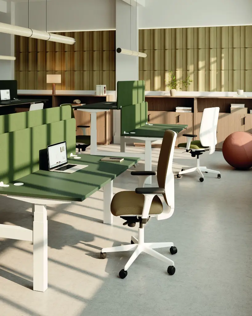 AMB_ASS_BUR_FAU_RAN_JIMBALL_FLEXUP_VOLT_MADERA_HARMONY_CAD_67_2025.webp