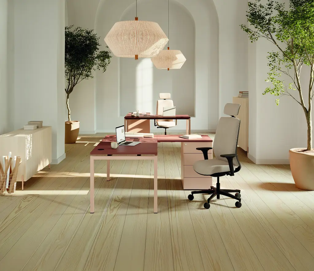 AMB_FAU_BUR_RAN_CINETIC_MUNIK_LINEA_HARMONY_CAD_52_2025.webp