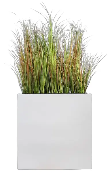 Bac Séparateur Graminées Scandinave