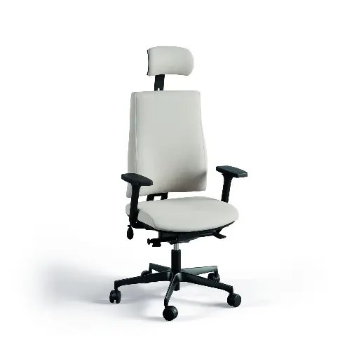 Axion